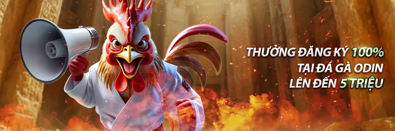 Tổng quan trung tâm tài nguyên bet inax